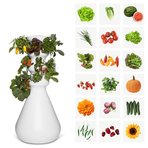 Farmstand Outdoor Starter Kit (12 Seedlings / Outdoor With Seedlings)