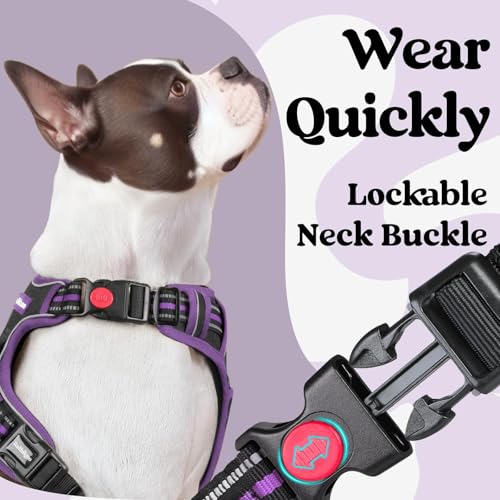 Dog Harness for Large (Black & Purple / X-large)
