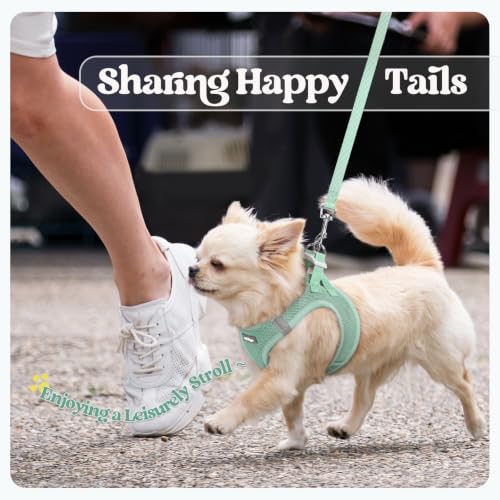 Dog Harness Medium Sized and Leash Set (Moss Green / M (chest: 16 - 18.5"))