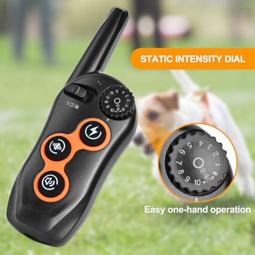 Dog Shock Collar with Remote Control