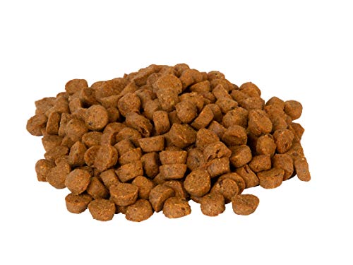 Zero G Wild Caught Pacific Salmon Recipe Oven Baked Dog Food (14 Pound (Pack of 1))