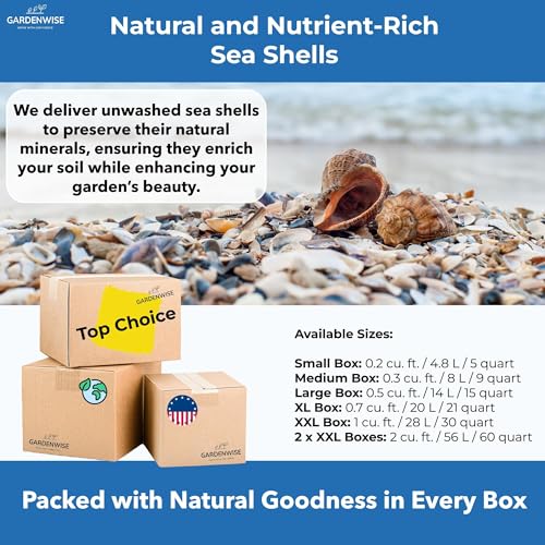 Natural Organic Sea Shell Mulch for Gardens and Landscaping (0.3 CF - 8 L - 9 QTS / Sea Shell Mulch)