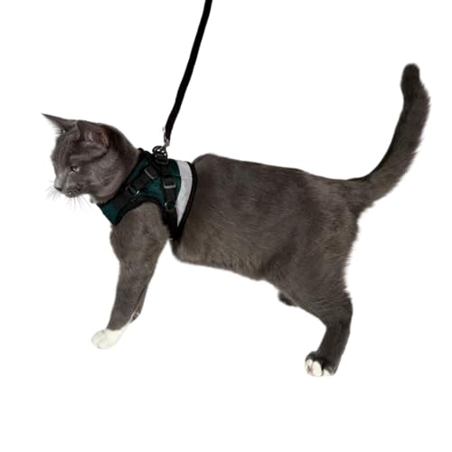 Travel Cat The Emerald Explorer Limited Edition Green Harness and Leash Set (Small / Emerald)