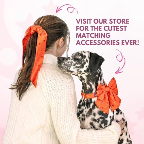 Luxury Pet Birthday Bandanas (Boba / X-Small)