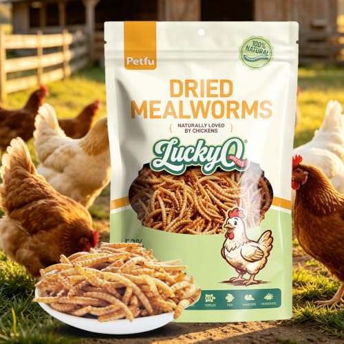 1lbs Dried Mealworms for Chickens Duck High Protein Birds Treat (1 Pound (Pack of 1))