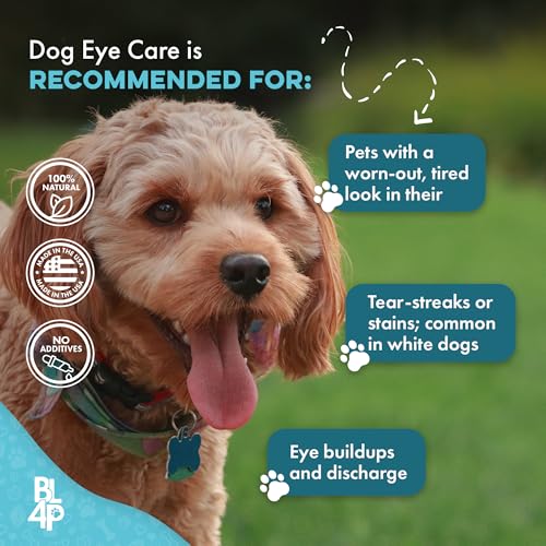 Dog Eye Infection & Eye Care Support Supplements