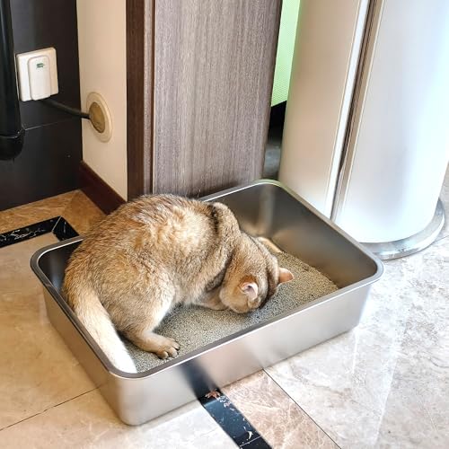 Stainless Steel Litter Box Medium for Cats (M-17×13×5.1")