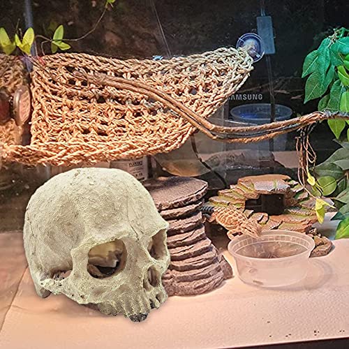Reptile Habitat Skull Decoration Bearded Dragon Tank Accessories Resin Human Skulls Hide Cave Hanging Vines Plant for Lizards Tortoise Snake Chameleon Spider Reptiles Amphibians