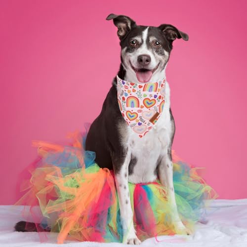 Rainbow Dog Bandanas (X-Large / Rainbow)
