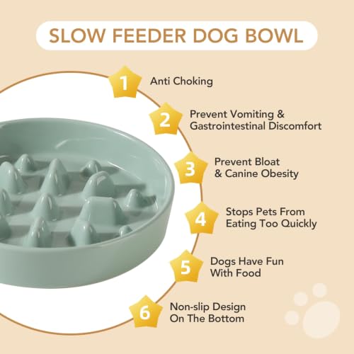 Ceramic Slow Feeder Dog Bowls (Light Green)