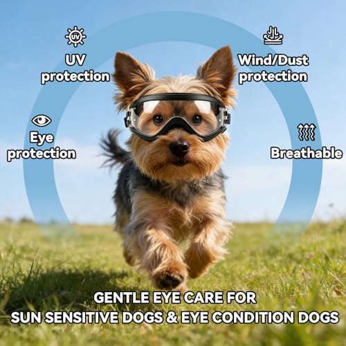Dog Goggles Small Breed Windproof Anti (Small / Clear)
