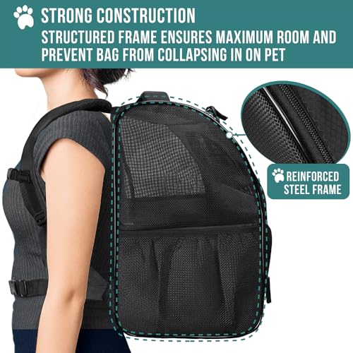 Dog Backpack Carrier Airline Approved Cat Pet Puppy Bag (Black)