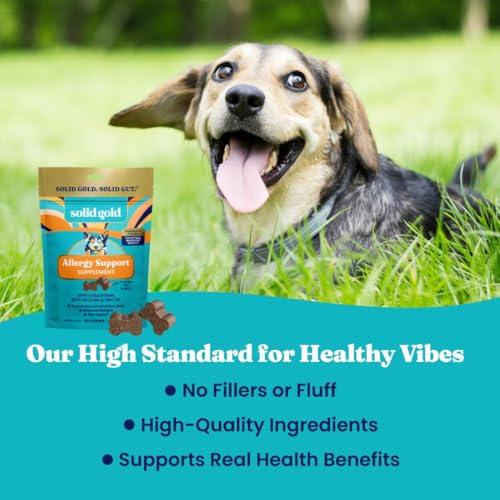 Dog Allergy Chews for Itchy Skin & Immune Support (60 Count)