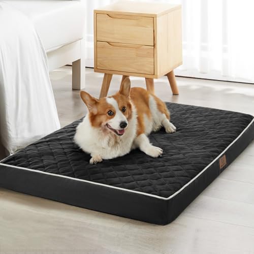 Orthopedic Waterproof Dog Bed Medium for Comfy Sleeping (black / 30"L x 20"W x 3"Th)