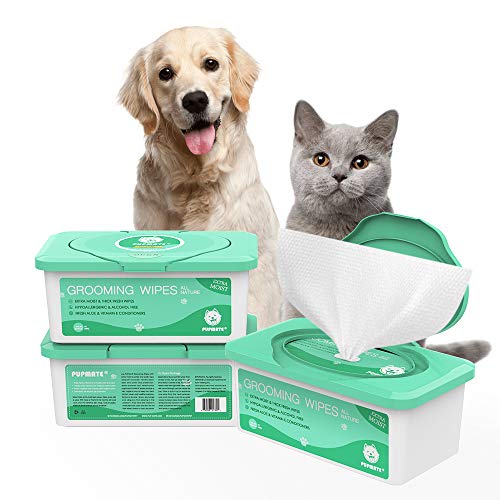 Pet Wipes for Dogs & Cats (1 Box-100 Count)