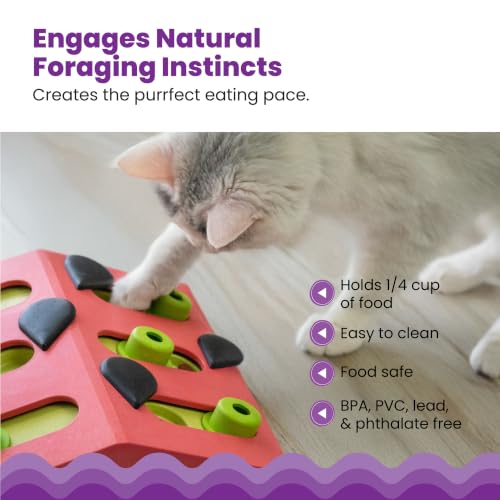 Nina Ottosson Melon Madness Puzzle & Play Cat Toy