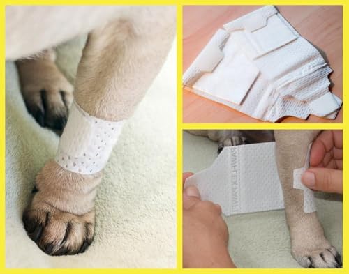 Basic Leg Bandages for Dogs (Small 20-Pack)