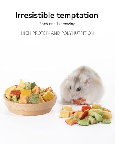 Hamster Snack & Treats Toy
