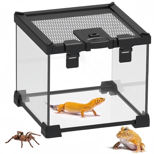 Mini Reptile Glass Terrarium Tank (1.69gal：7.9"L x 7.9"Wx 5.7"H)