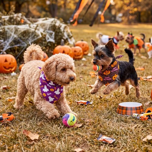 50 Pcs Halloween Dog Bandanas Bulk for Small Dog Lover Gifts (Ghost Pattern / 19.7 x 13.8 x 13.8 Inch)