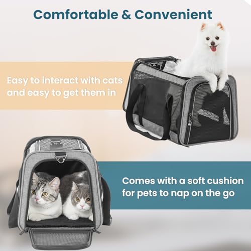 Large Cat Car Carrier (19.0"L x 12.0"W x 12.0"H / Z-Gray)