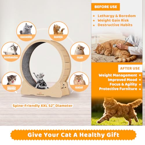 XXL Cat Exercise Wheel (XXL / Natural Wood)
