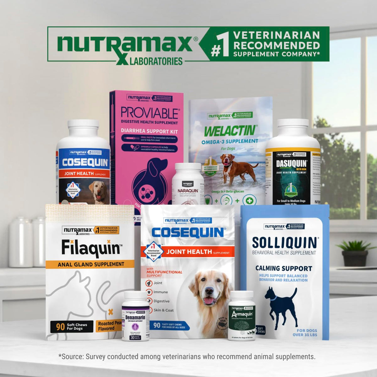 Nutramax Dasuquin MSM Joint Supplement for Large Dogs (84 Count / Large Dog (Over 60 lbs))