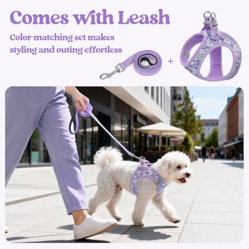 Dog Harness Small Sized and Leash Set (Lavender Floral / S (chest: 15.1 - 16.5"))