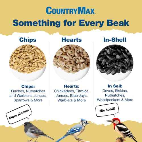 20LB Black Oil Sunflower Seeds for Birds (Black Oil Sunflower / 20 Pound (Pack of 1))