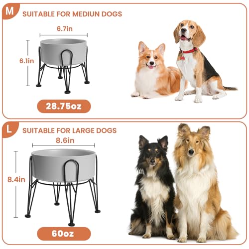 Elevated Dog Bowls (Gray / 7.6 Cups | 2 Pack | For Large Dogs)