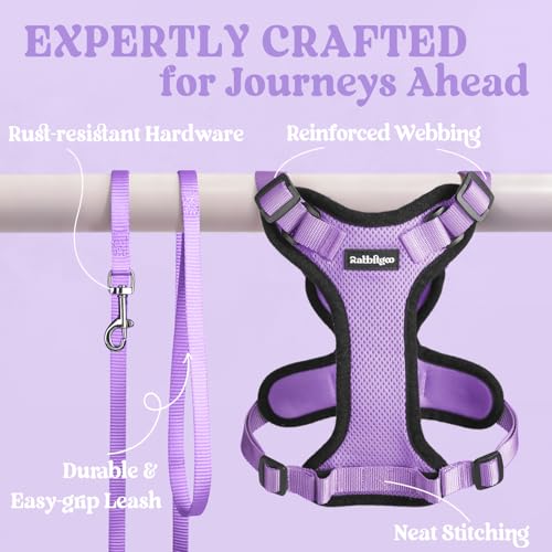 Cat Harness and Leash Set (Xxs / Light Purple)