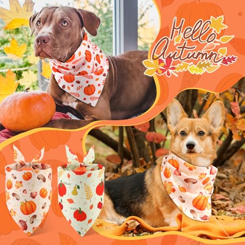 100 Pieces Thanksgiving Dog Bandanas Bulk Fall Autumn Pet Bandanas with Pumpkin Patterns Triangle Scarf Bib Kerchief Set for Small Large Dog Costume Accessories (Pumpkin / 31.5 x 21.7 x 21.7")