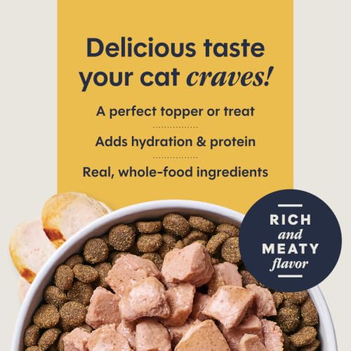 Healthy Cravings Grain Free Real Chicken Recipe Natural Wet Cat Food Topper by Nature's Variety (3 Ounce (Pack of 24))