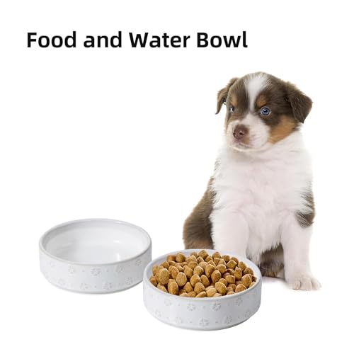 Dog Bowls Ceramic (2 Bowls-Arctic White / 1.7CUPS)