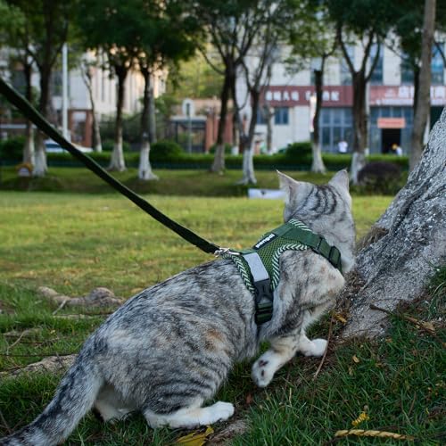 Cat Harness and Leash Set (Dark Green / Small)