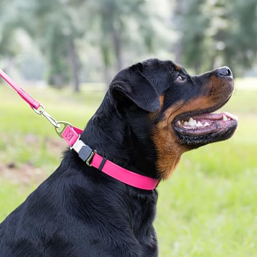 Biothane Waterproof Dog Collar with Herm Sprenger Black Stainless Steel Quick Release Buckle (W 1" x L 15"-25" / Passionfruit Pink)