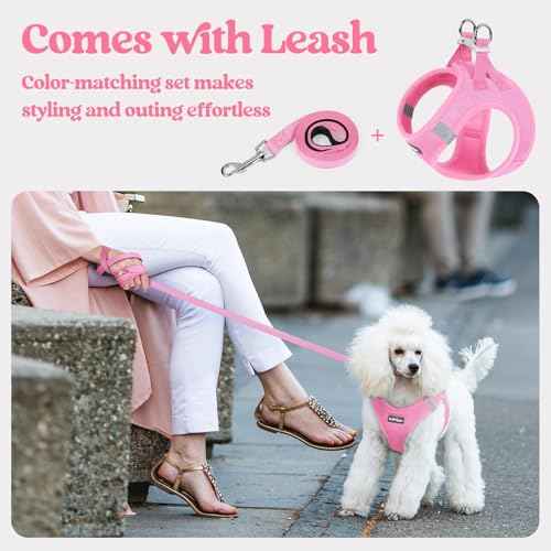 Dog Harness Small Sized and Leash Set (Light Pink / S (chest: 15.1 - 16.5"))