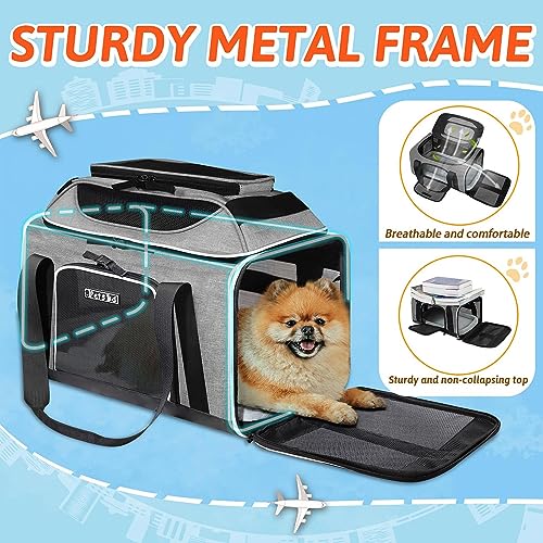 Top Expandable Small Pet Carrier 17"x11"x9.5" Airline Approved (17.0"L x 11.0"W x 9.5"H / Grey)