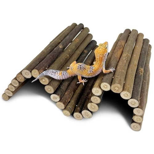 13.8" L x 7.9" W Wooden Reptile Bridge Ladder Climbing Toy Natural Hideout Tunnel Ramp for Lizards Gecko Spiders Snakes Tortoise