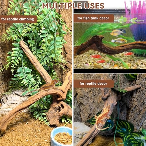 2PCS Snake Climbing Branches (2Pcs 10-12in Reptile Climbing Branches)
