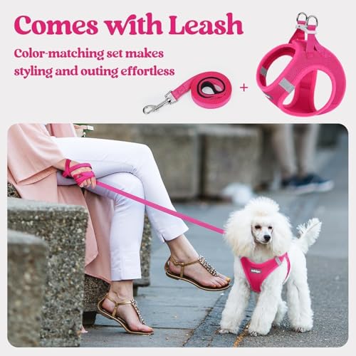 Dog Harness Medium Sized and Leash Set (Rose Red / L (chest: 18.2 - 20.5"))