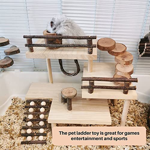 Hamster Climbing Toys 3