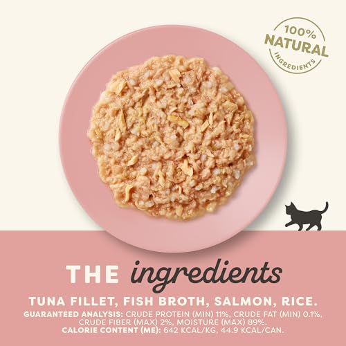 Kitten Tuna & Salmon in Broth Wet Kitten Food 24 (2.47 Ounce (Pack of 24))