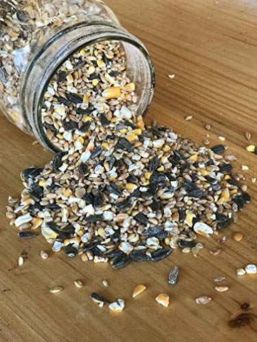 s Bird and Wildlife Feed (46 Pound (Pack of 1))