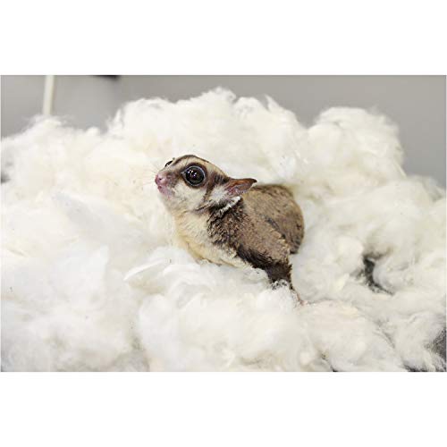All Natural Nesting Material (4 oz.)