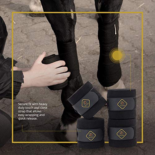 Classic Bandage for Horses (4 Pack / Black)