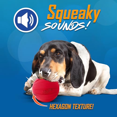 Classic Squeak Ball Outdoor Dog Toy (Green/Red / 1 Count (Pack of 2) / 2-Pack)