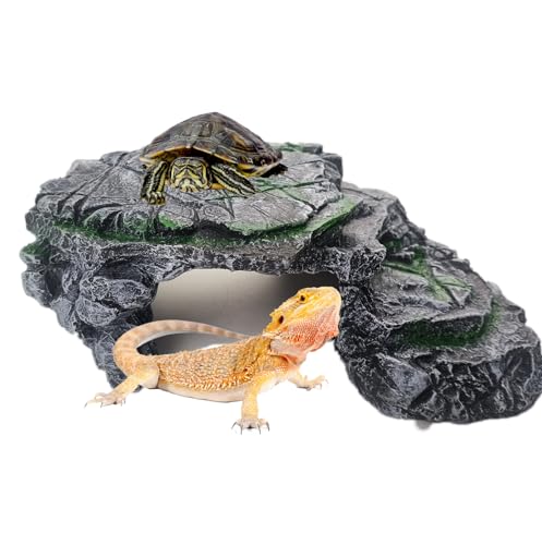 Turtle Basking Platform (hideout)