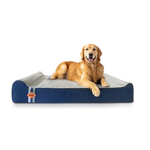 Orthopedic Dog Bed (50.0"L x 36.0"W x 10.0"Th / Slate Blue)