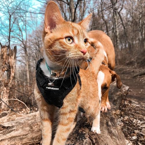 Cat Harness and Leash Set (Xs / Black)